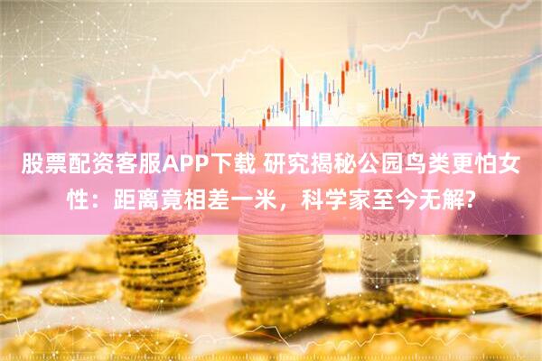 股票配资客服APP下载 研究揭秘公园鸟类更怕女性：距离竟相差一米，科学家至今无解?